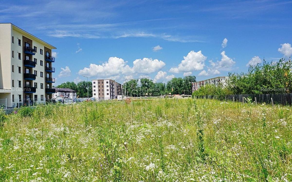 Teren Intravilan - Pretabil Investitie - Dezvoltare Rezid... - 3