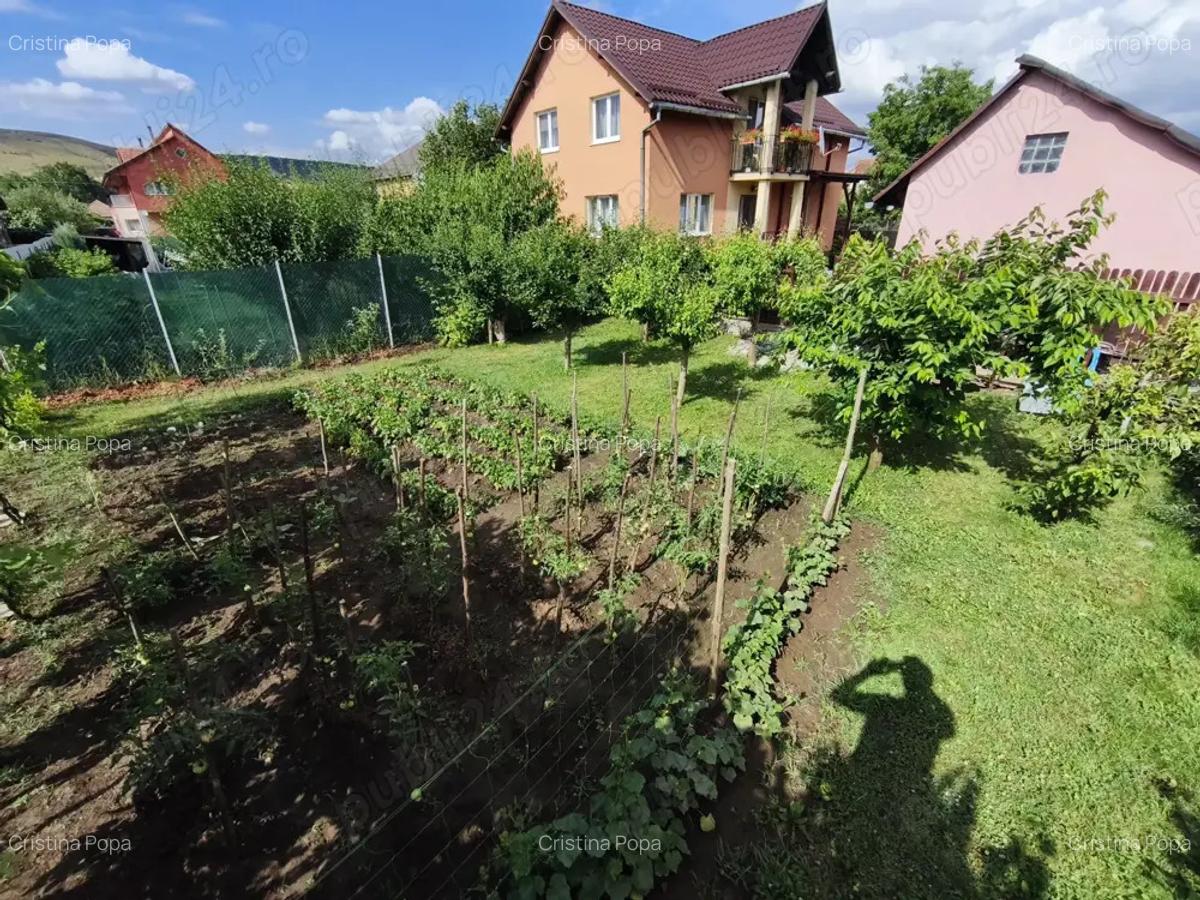Direct proprietar! Casa cu 7 camere, garaj, curte cu flori ?i pomi fructiferi Flore?ti, Str.Horea - 3