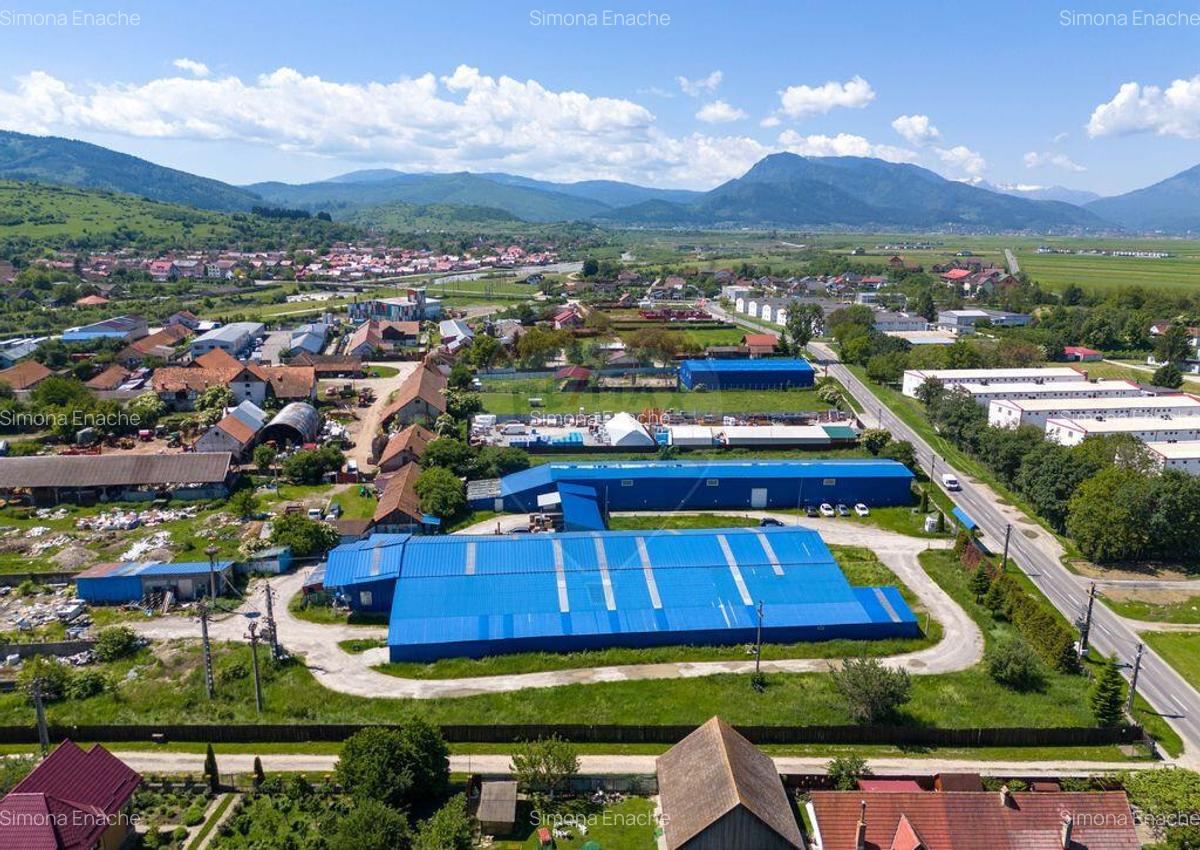 Comision 0 |Oportunitate : Hala Productie, hala depozit |... - 7