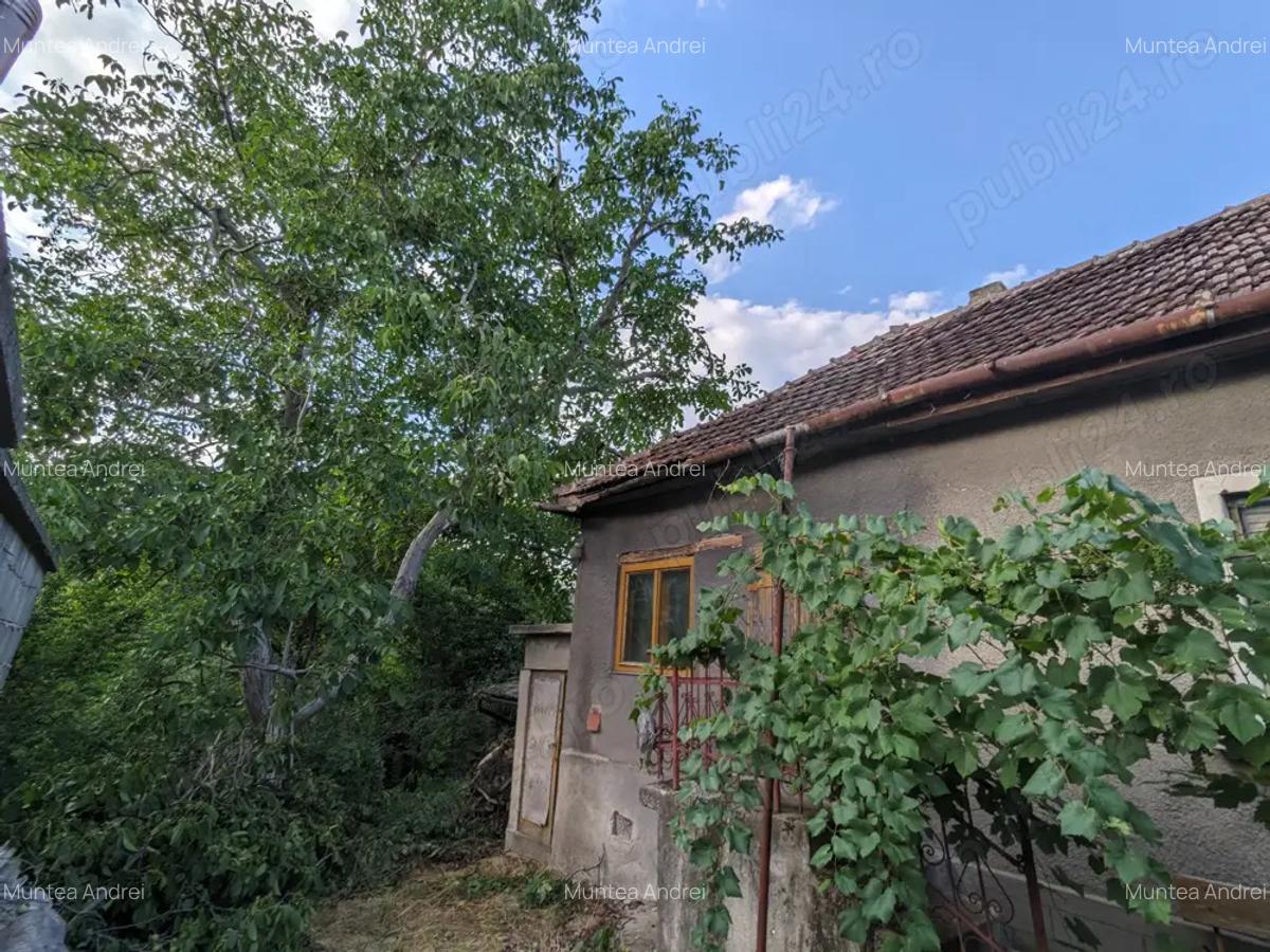 Casa cu teren 256mp Piatra Craiului zona Nymphaea - 1