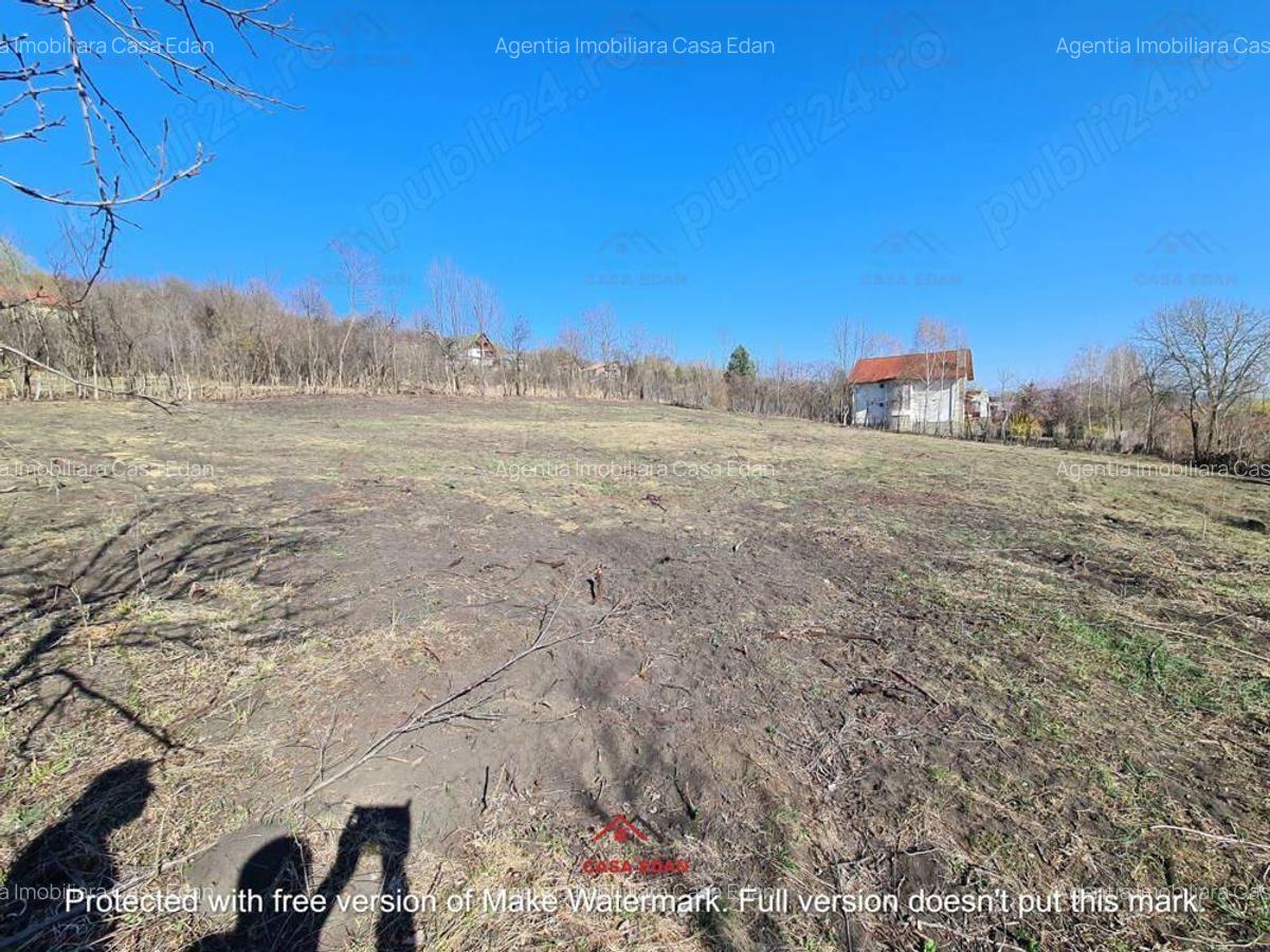 Teren intravilan in Cornu de Jos--4391 mp--43e - 6