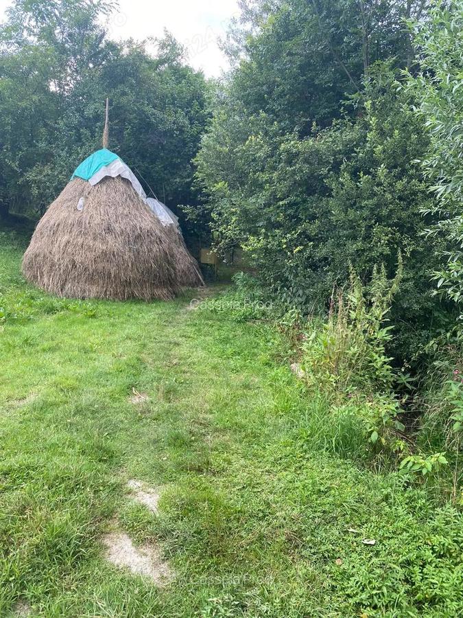 Vand teren Breaza 3325 mp - 7