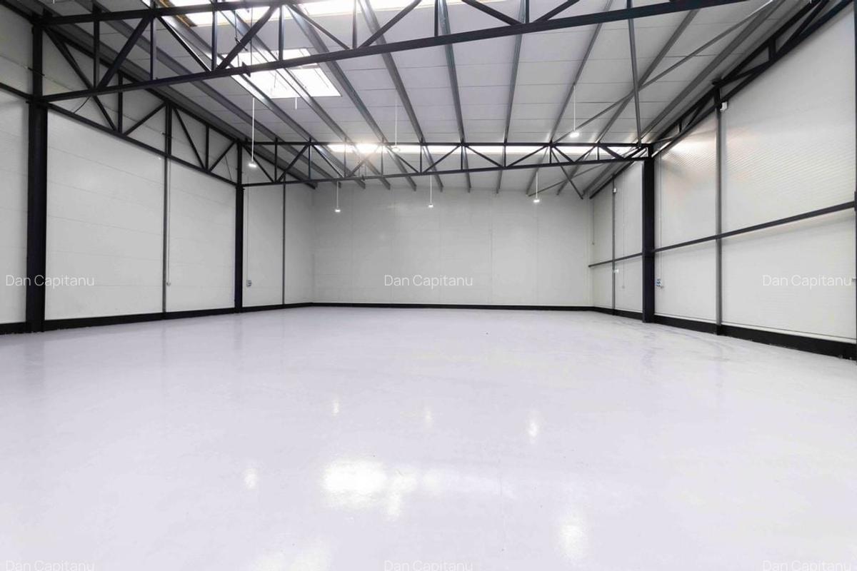 Zona Drumul Intre Tarlale - hale noi 600mp - 2