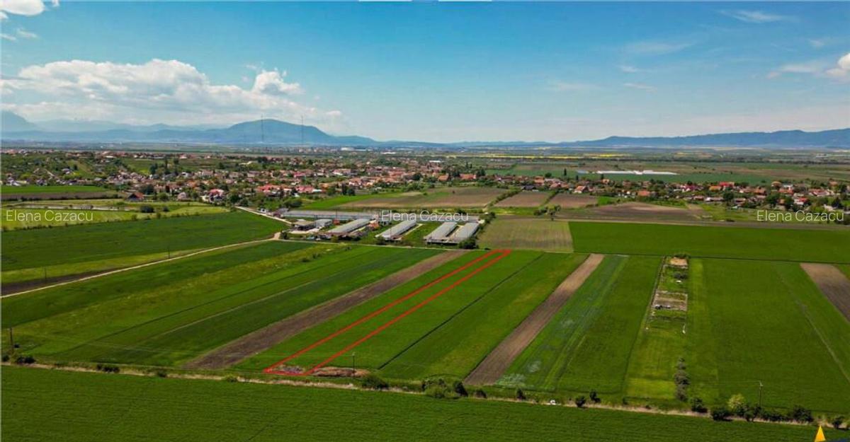 Aliniament de liniste, drum usor, 5.000 mp pamant verde, Bod - 1