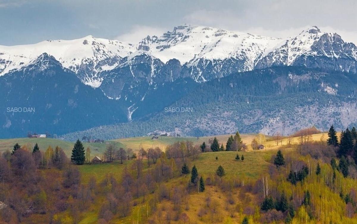 Pensiune-restaurant la cheie în Bran –  arhitectură montană și influențe austrie - 6