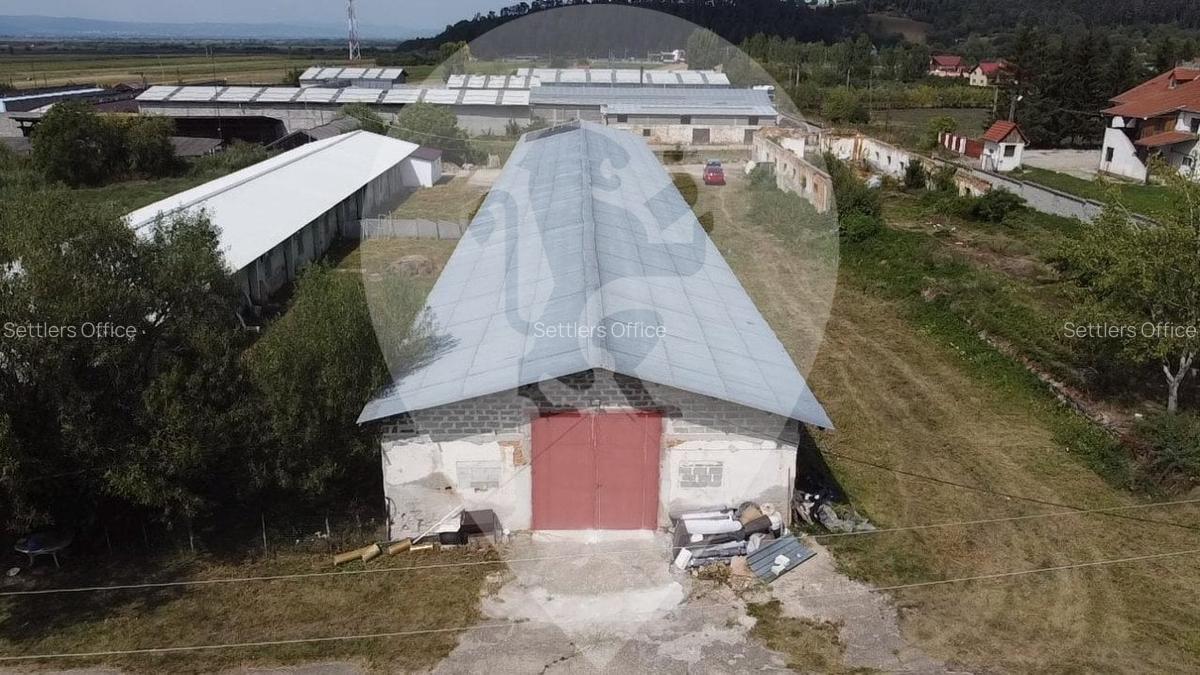 Spațiu industrial, 800 mp în Teliu - 9