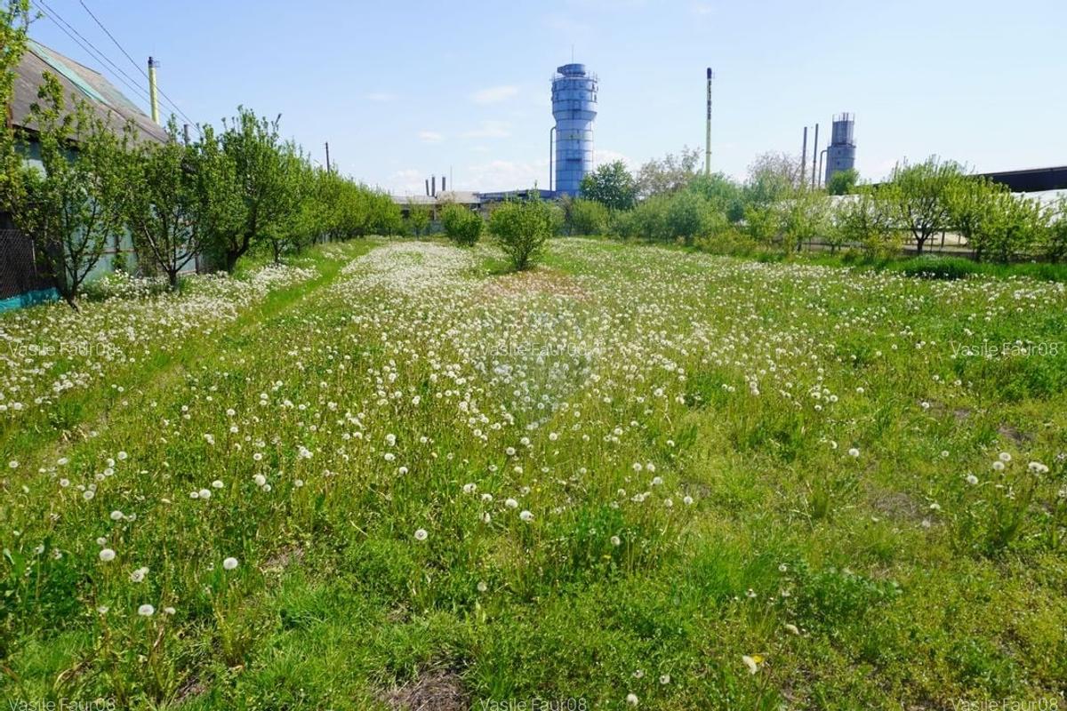 Teren 4,076mp Sarasau - 9