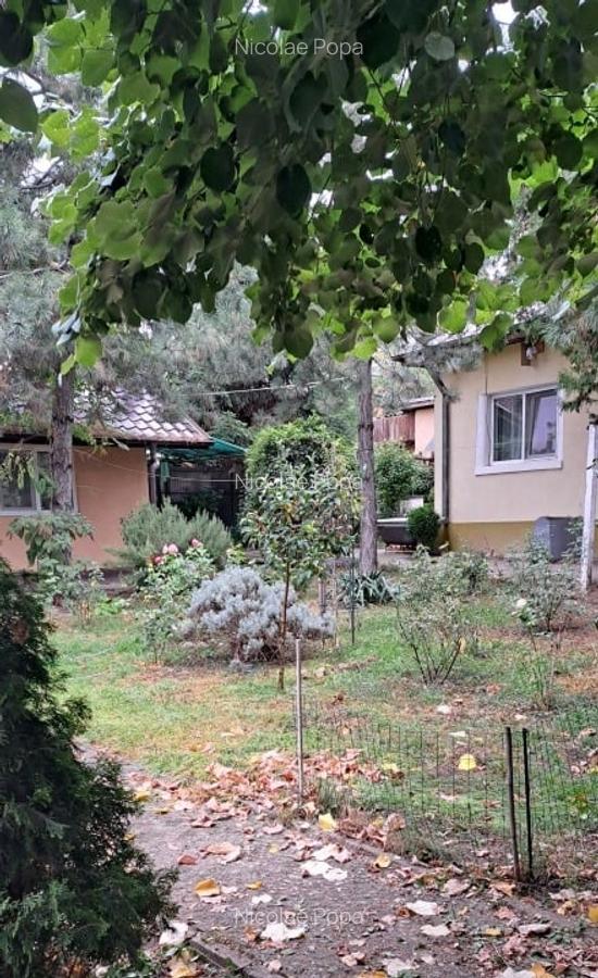Gospodarie (casa si teren) com. Gura Vadului, Prahova - 12