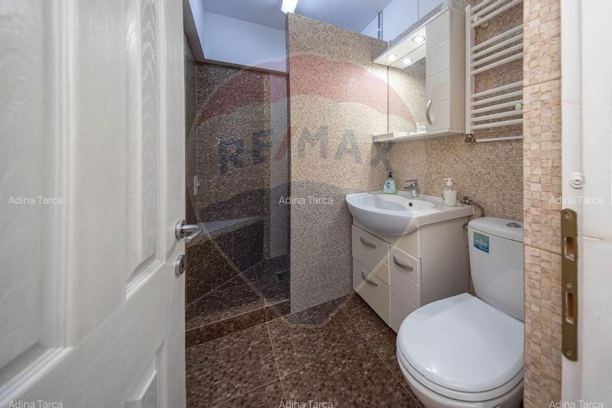 Rezidential/Spatiu de 39mp de inchiriat in zona Centrul Civic - 5