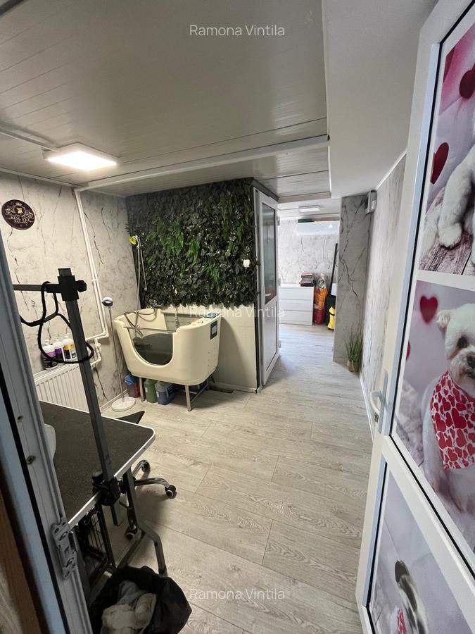 Apartament în Vila tip boutique, 3 camere+ terasă+ spațiu comercial - 20