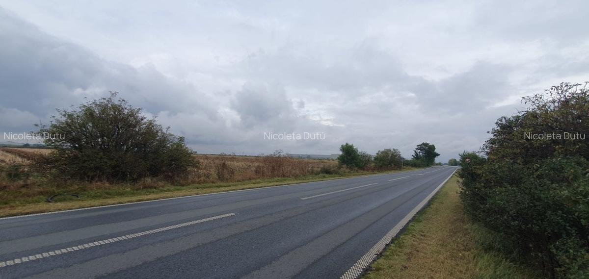 Dudestii Noi 10 ha comasate la 11 km de Timisoara - Ideal investitie ! - 7