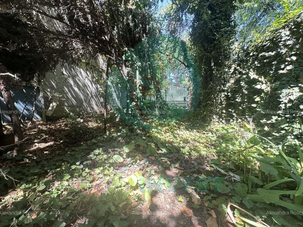 Casuta batraneasca cu teren 184 mp de inchiriat - 4 Casuta batraneasca cu teren 184 mp de inchiriat - 4