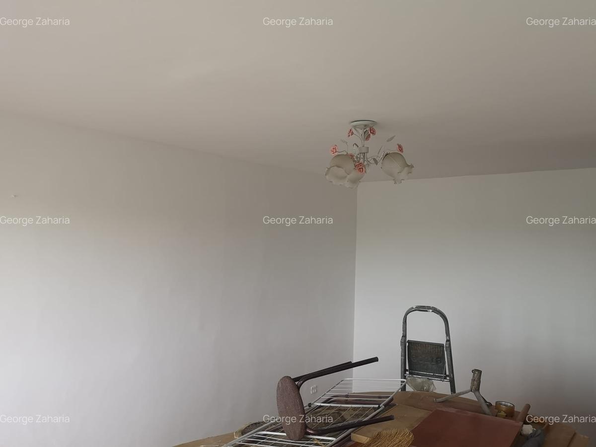 Apartament 3 camere Giurgiului - Luica - 7