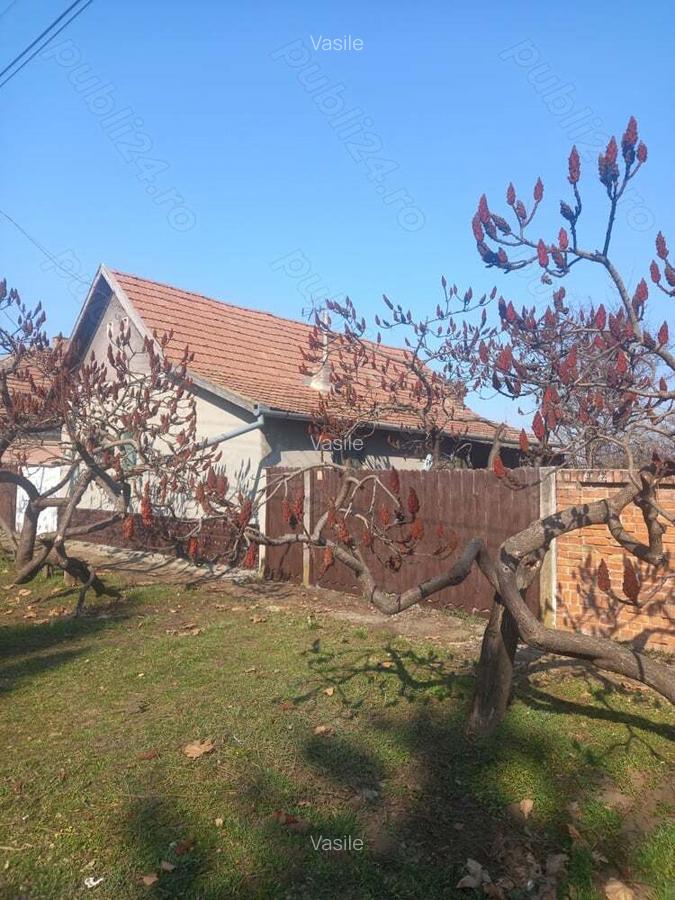 Casa de vanzare in Ungaria - 1