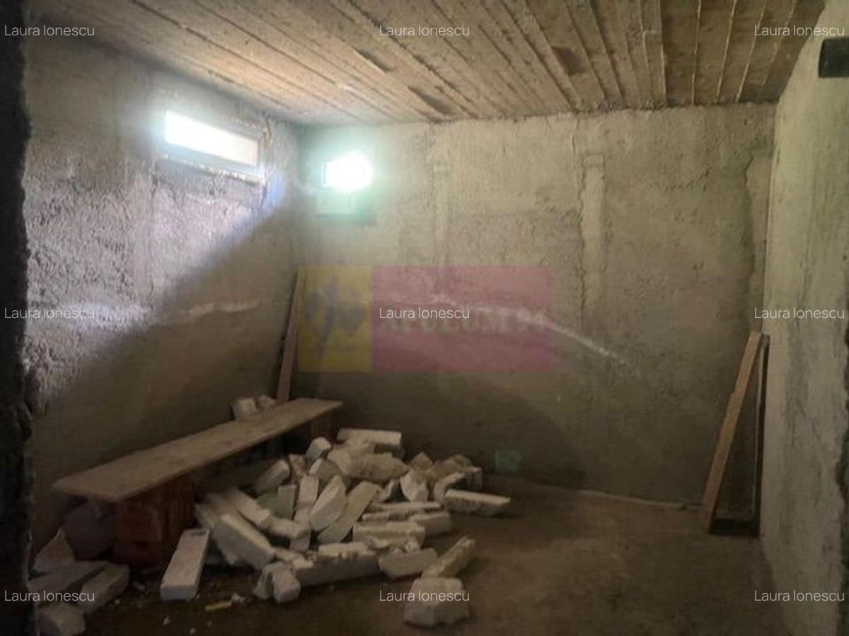 Vila la rosu Zarnesti- Mitropolit Metianu cu vedere superba spre munte - 27