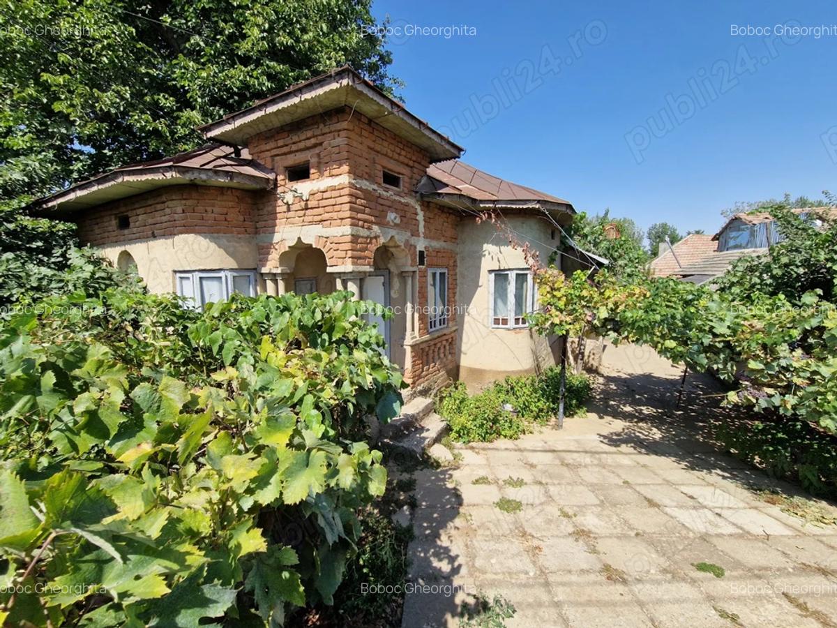 Casa + curte 900m2, comuna Daneti, jud Dolj - 5