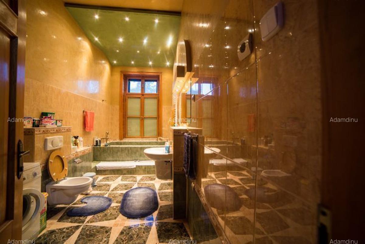 Vand CONAC cu istoric, sec XIX, renovat si evaluat in primele 10 din Romania, granita Varsand - 8