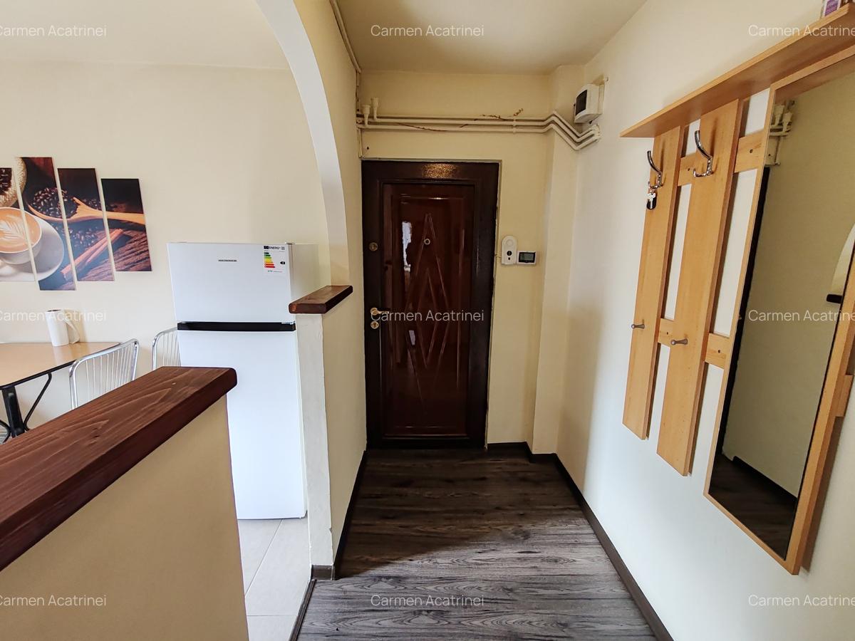 Apartament cu 3 camere decomandat, mobilat în Centrul Civic - 16