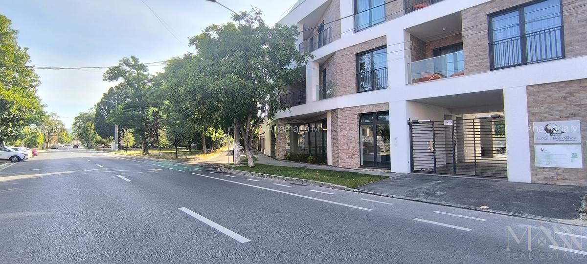 Spatiu comercial premium | De Inchiriat | Bloc verde, Cantemir - 1
