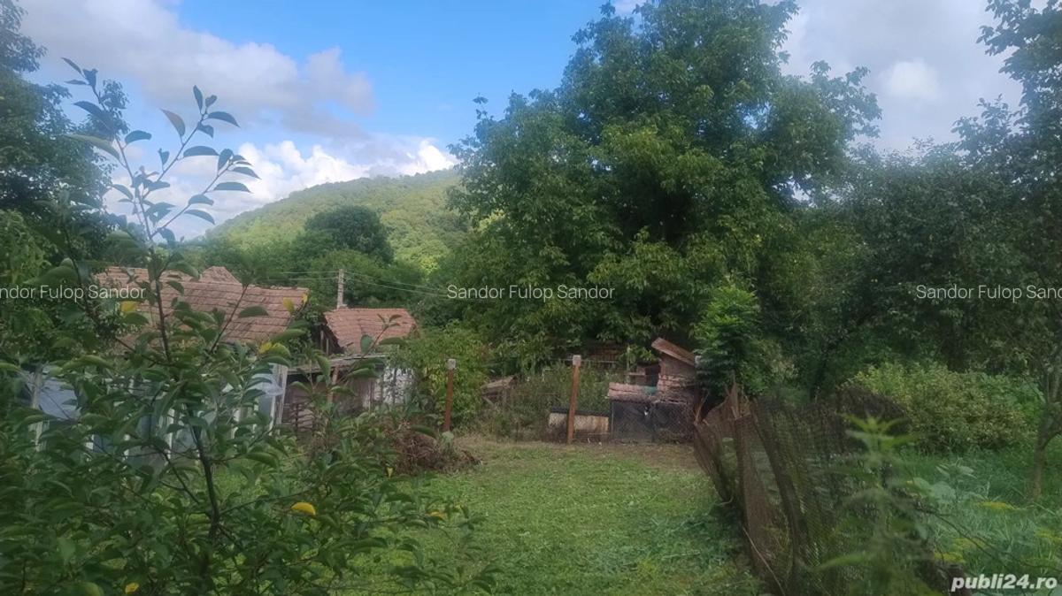 Casa de vanzare satu nou 12km din tg Mure? - 10