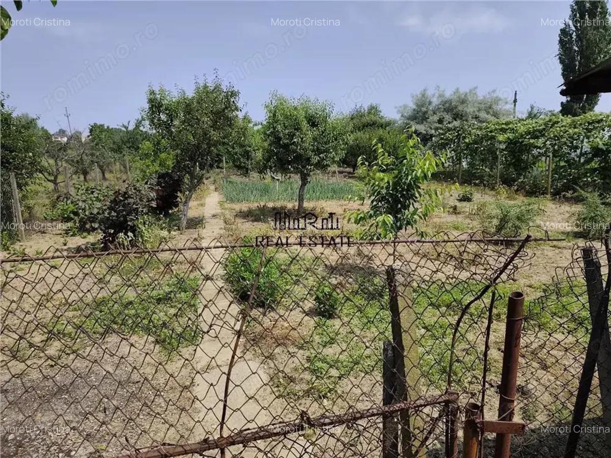 Proprietate spatioasa de vanzare in Gaesti, Dambovita - ideala pentru locuit sau agropensiune - 19