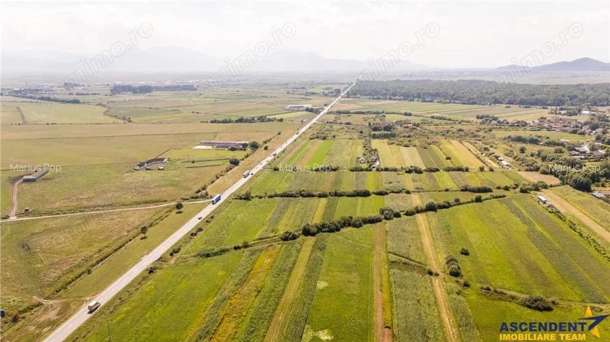 Teren extravilan Lunca Calnicului langa E574 - 10