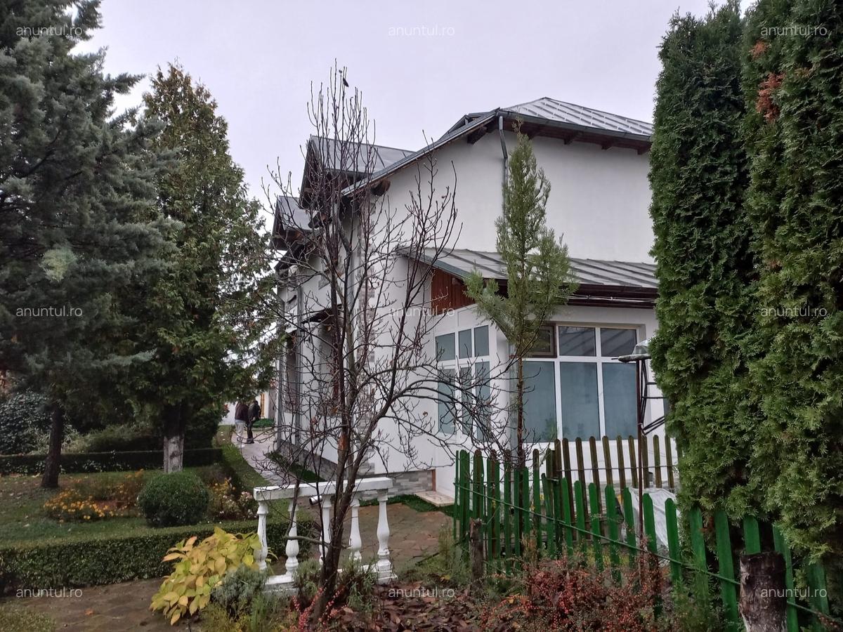 Motaieni, Dambovita - 11