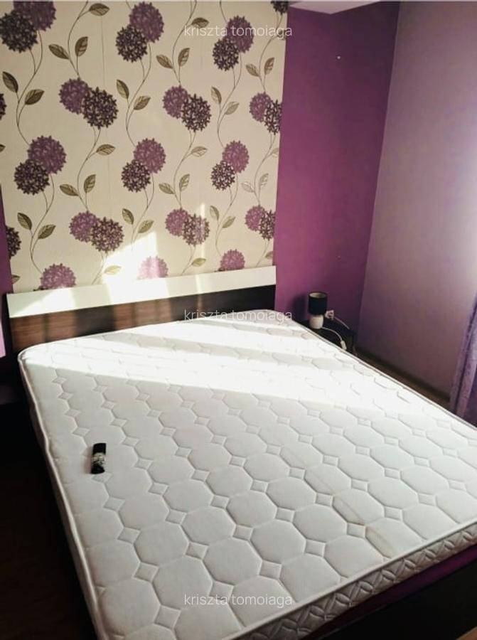 Apartament  43 mp utili plus balcon ,parter inalt , strada Stejarului - 1