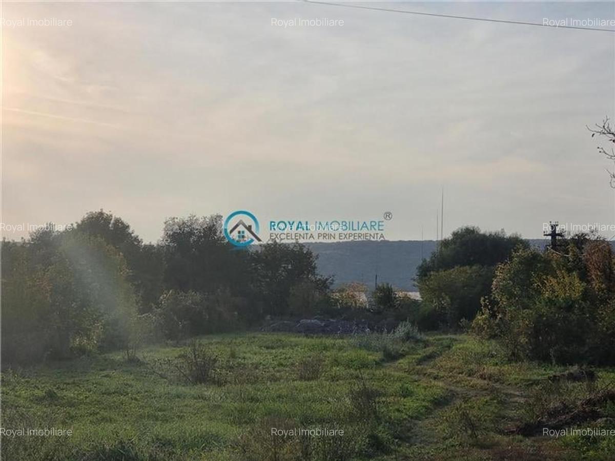 Royal Imobiliare - Vanzare teren zona Boldesti Scaieni - 1