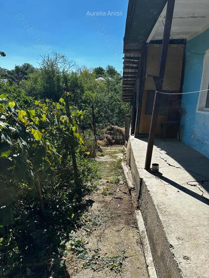 Casa batraneasca - 7