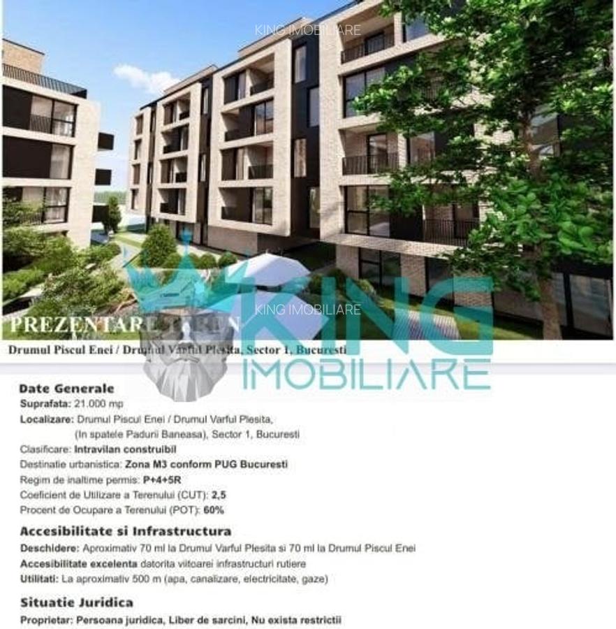 Teren 21.000mp Deschidere 70ml Padurea Baneasa - 3