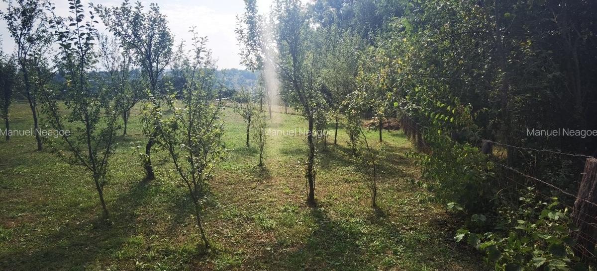 Teren Construcții intravilan de 1414 mp, în Breaza - 5