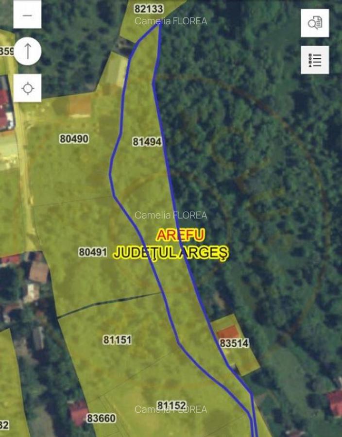 Teren 4996 mp zona de munte Comuna Arefu-Capataneni Arges - 5