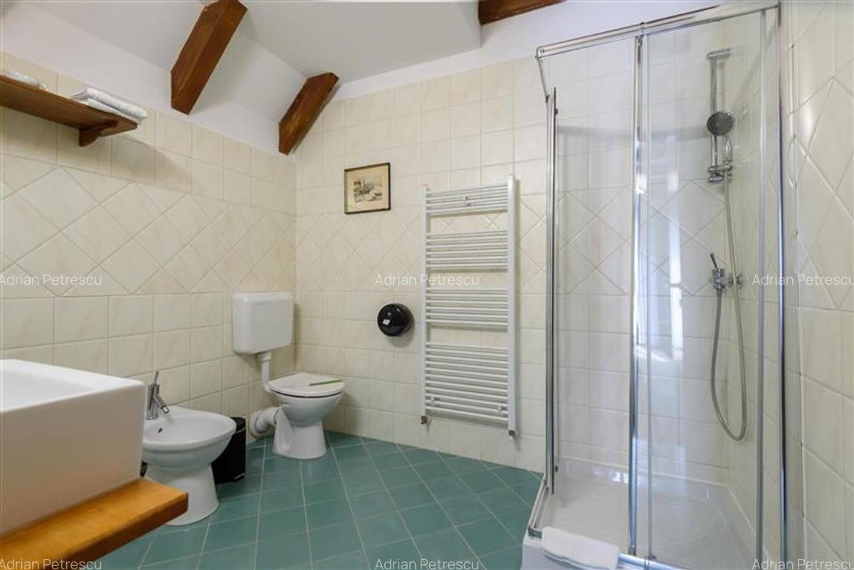 Langa Castelul Bran: Pensiune + restaurant + transfer afacere activa - 23