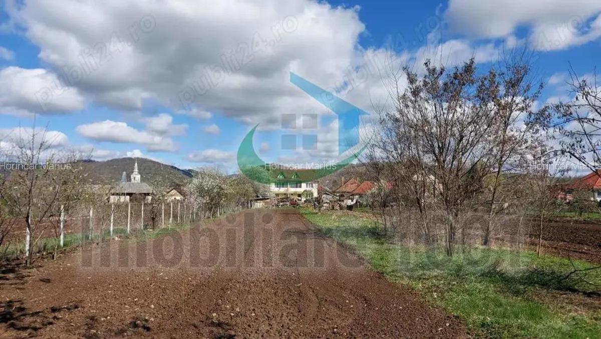 Tautii Magheraus, teren intravilan, suprafata 1377 mp, acces prin strada nr. 59 - 3