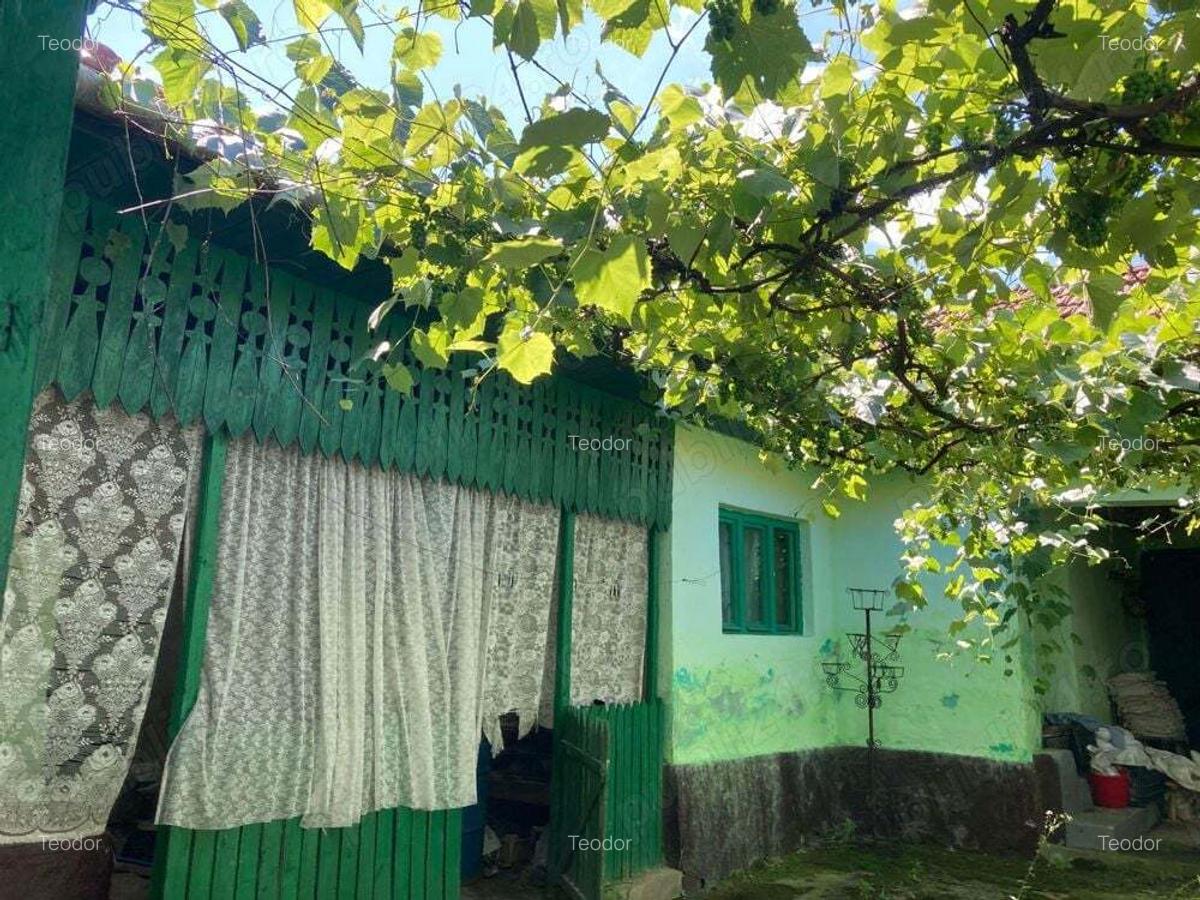 Se vinde casa bunicilor - 6
