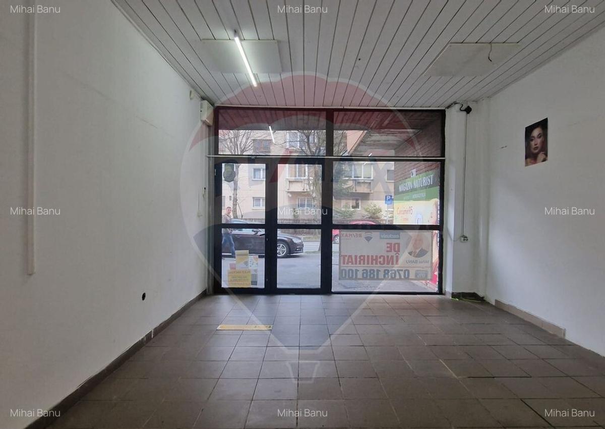 Spa?iu comercial de inchiriat Scriitorilor, strada Cara... - 13