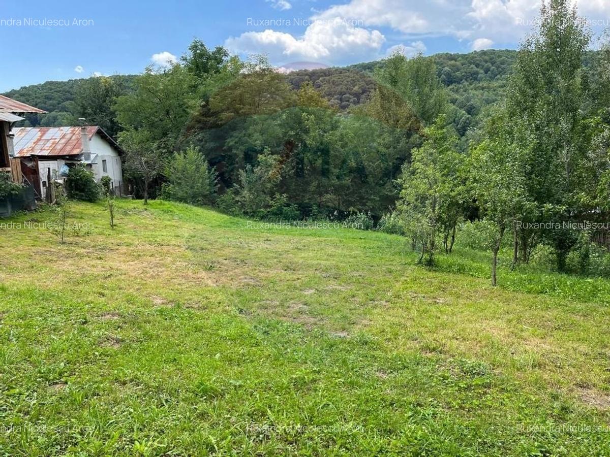 Teren intravilan (faneata) de vanzare  - 2231 mp, Telega, jud. Prahova - 3