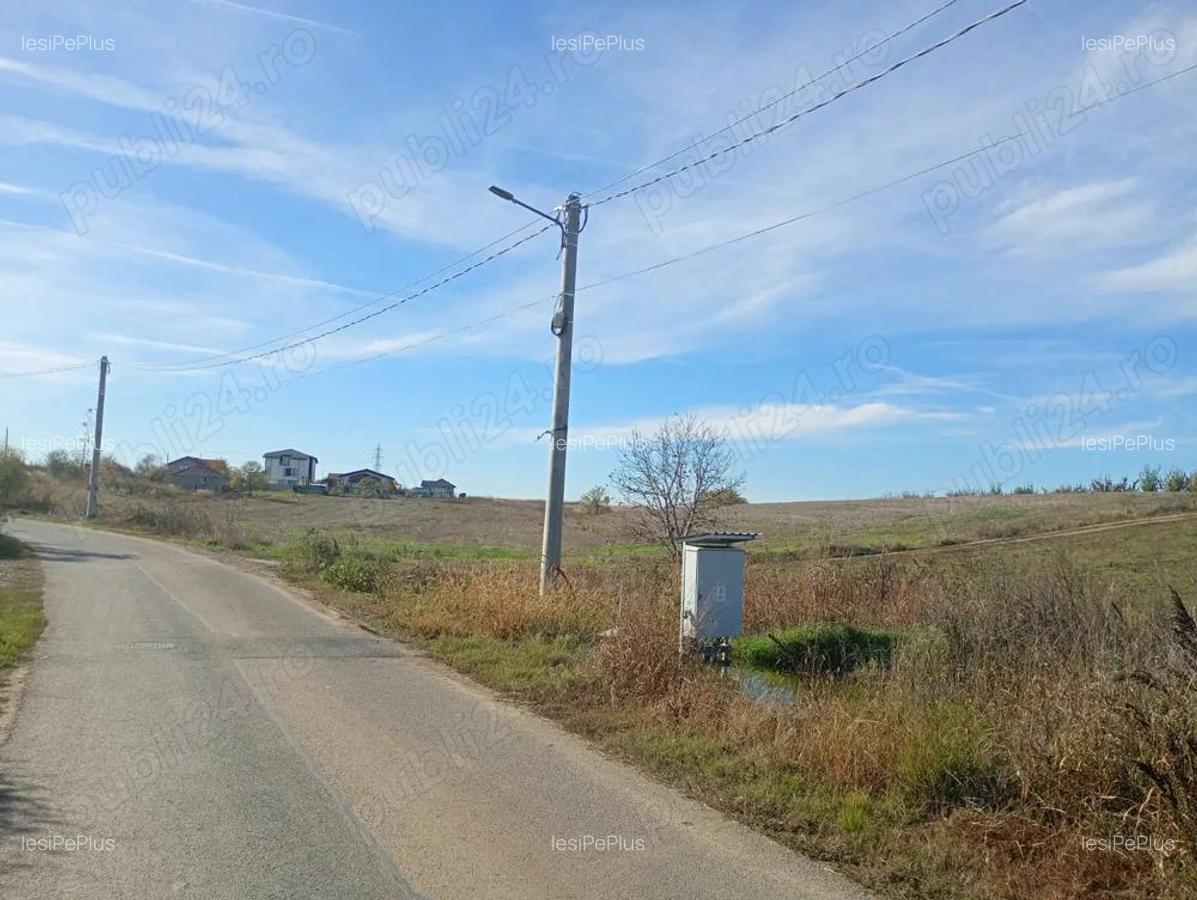 Teren 6.000 mp in Peri?, aproape de Bucure?ti ideal pentru locuin?a sau investi?ie - 8