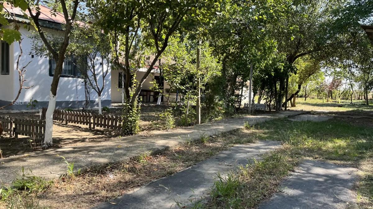 Casa locuibila in judetul buzau - 7