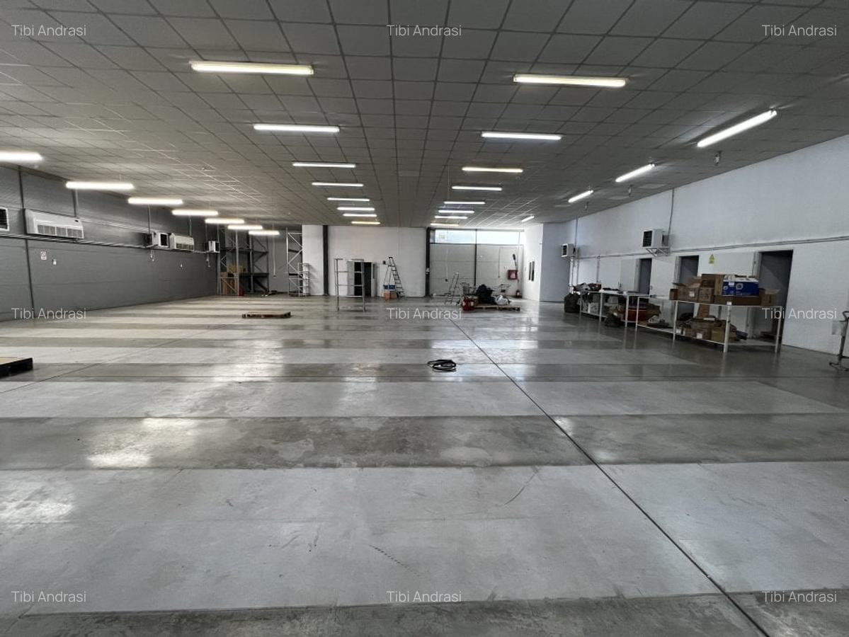 Hala moderna / Productie / Depozitare / Depozit farma - 2