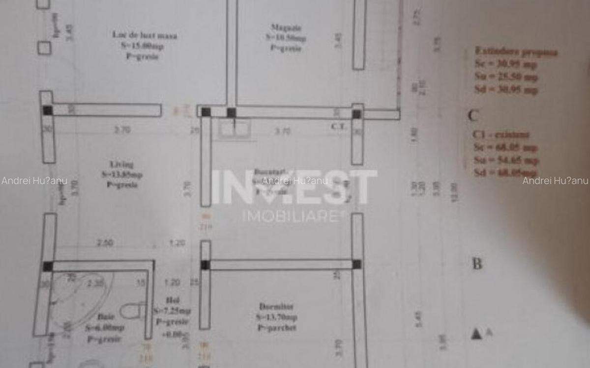 Casa 3 Camere, beci, magazie, mansarda 500 mp Teren - 4