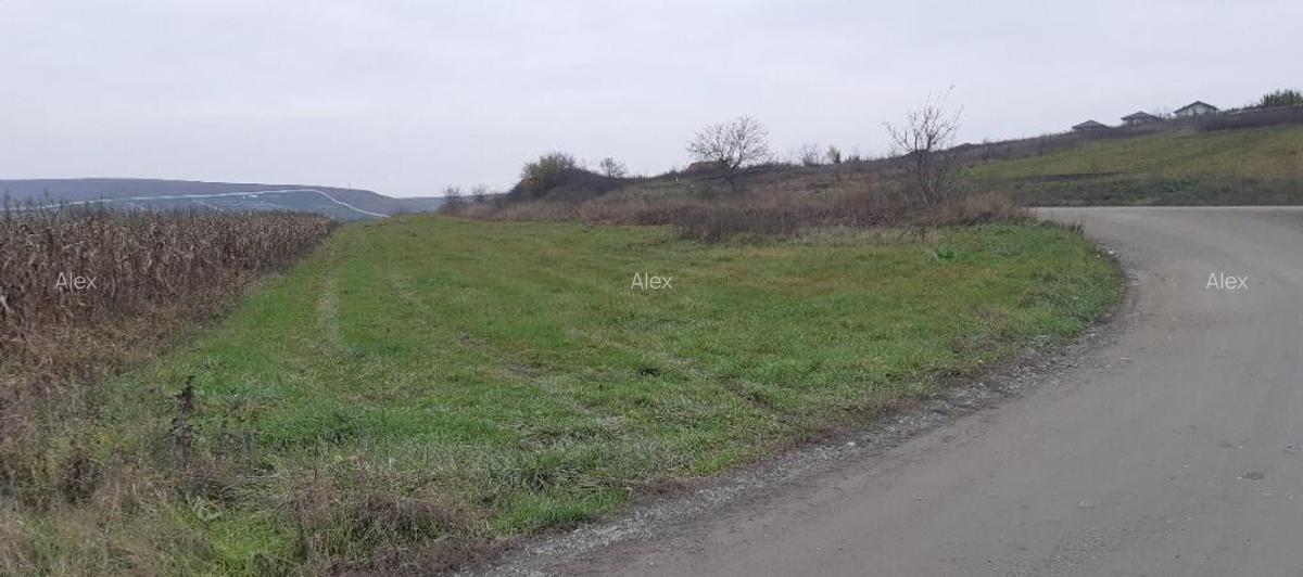 8000mp teren intravilan in cluj - 1