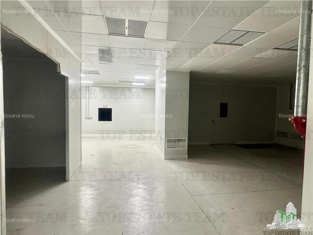 Spatiu industrial de inchiriat Central /  Vitan - 5
