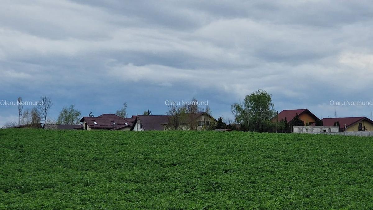 Loturi de 500mp | langa Padurea Snagov | IZVORANI | LOCATIE DE VIS - 2