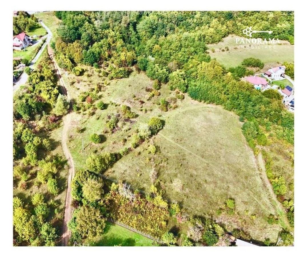 Teren intravilan cu vedere panoramică  4230mp - Mediaș - 4