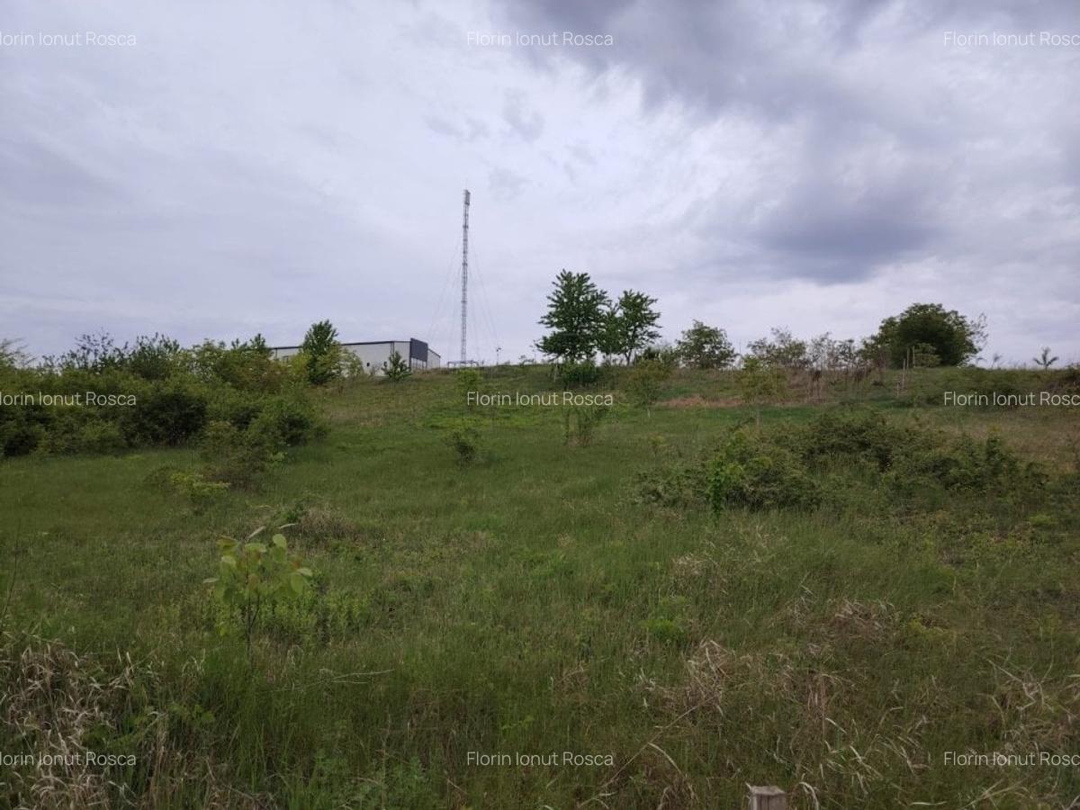 Teren intravilan 1800 mp, Centura-Ciurbesti-dubla deschidere - 8