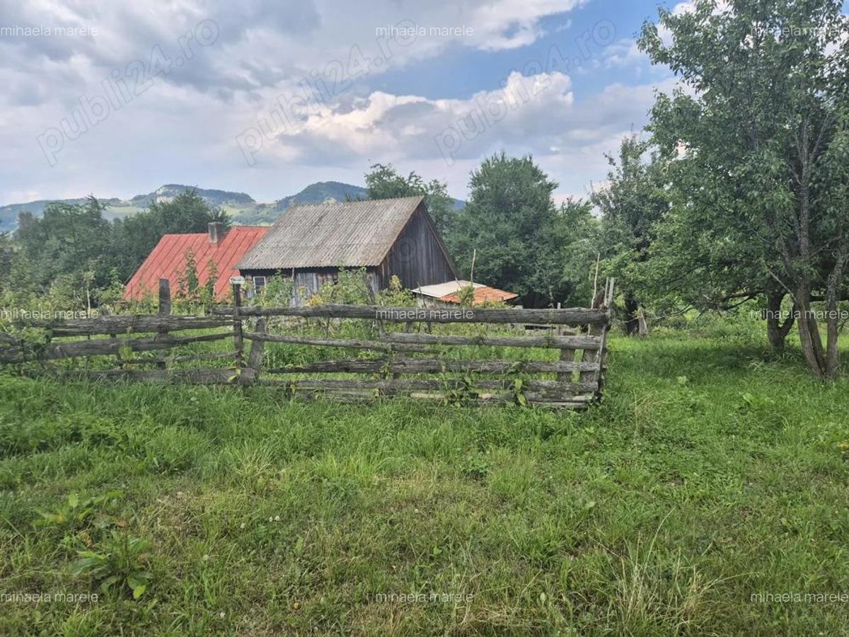 Intravilan Pestera, jud Brasov, comision 0% - 4