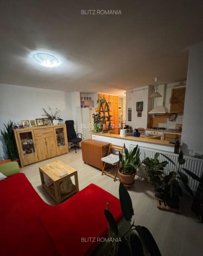 Apartament cu 3 camere/vedere superba catre Mun?ii Igni? - 2