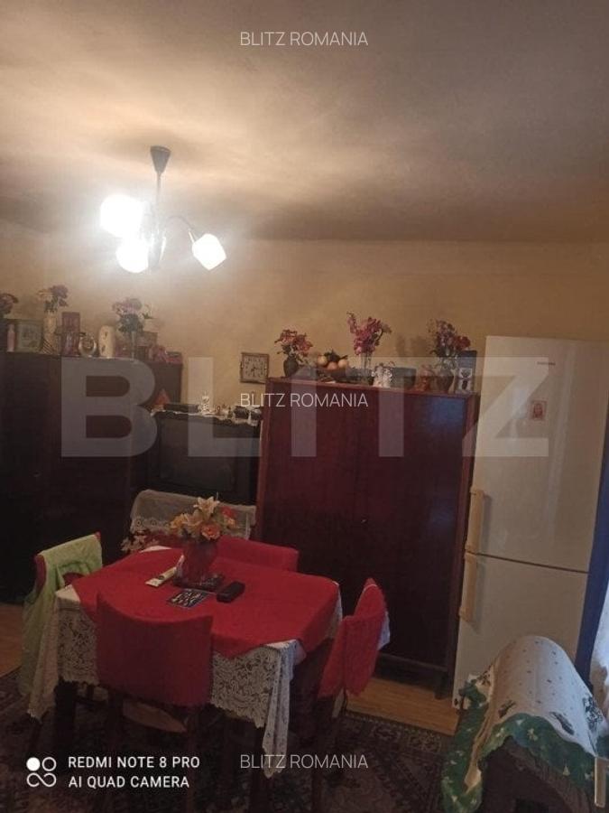 Casa cu 2 camere, 52mp, zona Remetea - 13